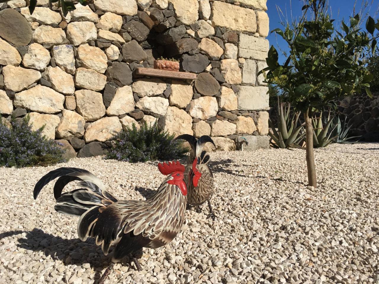 La Petite Maison Tresnuraghes المظهر الخارجي الصورة